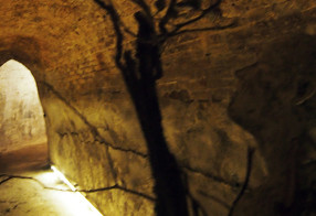 METAMORPHOSIS- installation