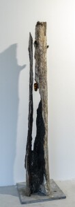 animula