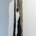 animula
