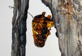 "Animula, vagula, blandula"