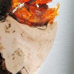 "Assemblage" / "Composizione". 2024