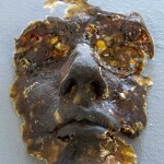 "organic face" / " Volto di Natura", 2024